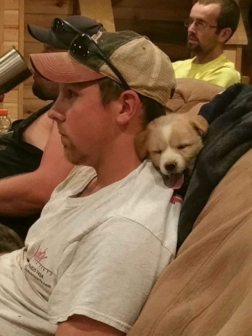 Vicksburg resident Mitchel Craddock said he and seven friends were on a five-day, four-wheeling party in the woods near Huntsville, Tenn., last month when a skinny, flea-bitten dog approached their cabin door.