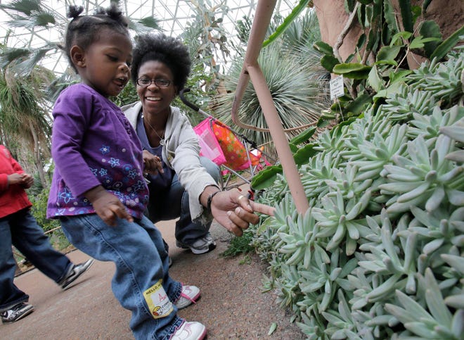 Aura Grant gets a look at some plants with her mother Andrea in the desert dome in September, 2010.